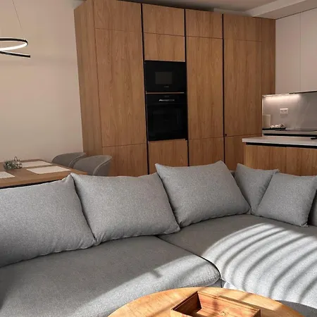 公寓 Centrum S Parkovanim *