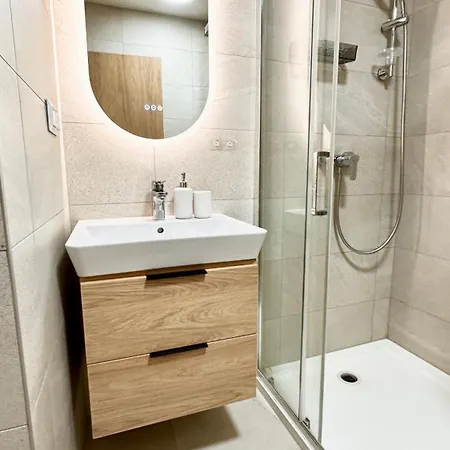 公寓 Centrum S Parkovanim